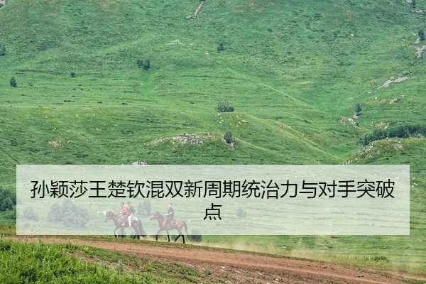 孙颖莎王楚钦混双新周期统治力与对手突破点