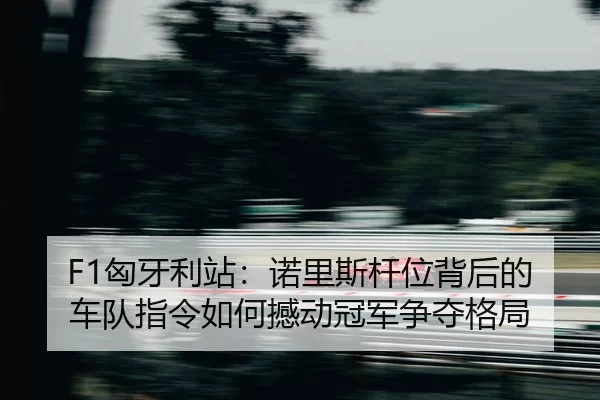 xiong-ya-li-zhan-nuo-li-si-gan-wei-bei-hou-de-che-dui-zhi-ling-ru-he-han-dong-guan-jun-zheng-duo-ge-ju-2-615.jpg
