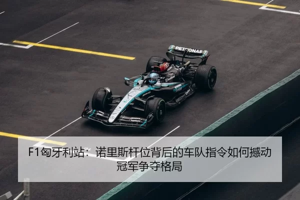 xiong-ya-li-zhan-nuo-li-si-gan-wei-bei-hou-de-che-dui-zhi-ling-ru-he-han-dong-guan-jun-zheng-duo-ge-ju-3-213.jpg