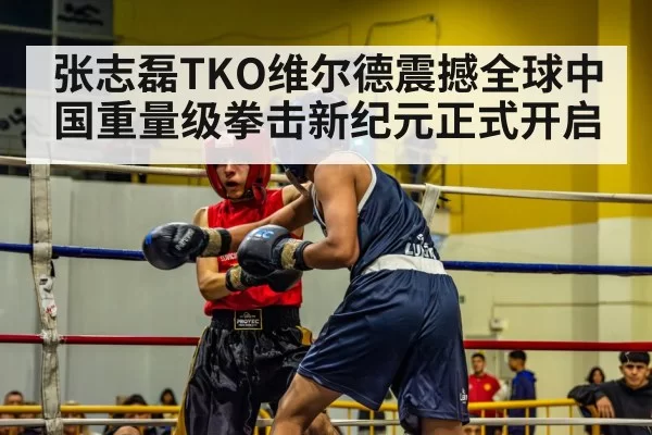 张志磊TKO维尔德震撼全球中国重量级拳击新纪元正式开启