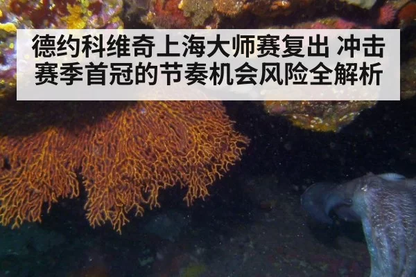 德约科维奇上海大师赛复出 冲击赛季首冠的节奏机会风险全解析